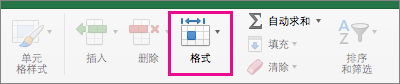 “开始”选项卡上已突出显示“格式”