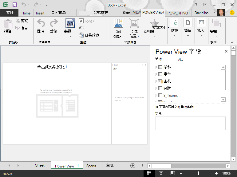 Excel 中的空白 Power View 报表