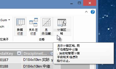 PowerPivot 中的计算区域