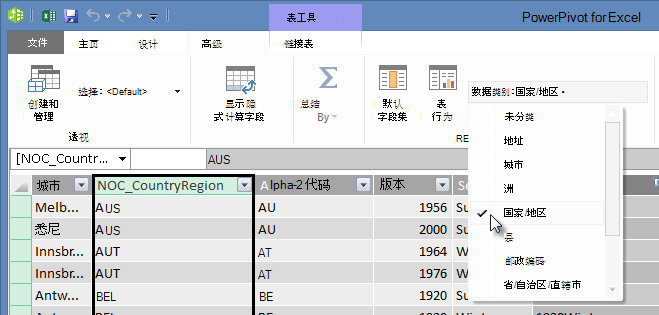 PowerPivot 中的“数据类别”