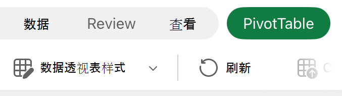 iPad 上的数据透视表选项卡