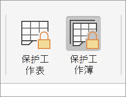 在 MacOS 中突出显示的保护工作簿