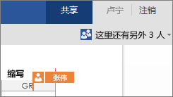 Word Online 显示其他作者在文档中进行工作的位置