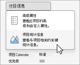 “项目信息”选项
