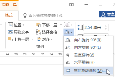 “旋转”菜单上的“其他旋转选项”