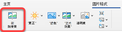 “删除图片”选项位于 Office 应用中的“图片格式”选项卡上。