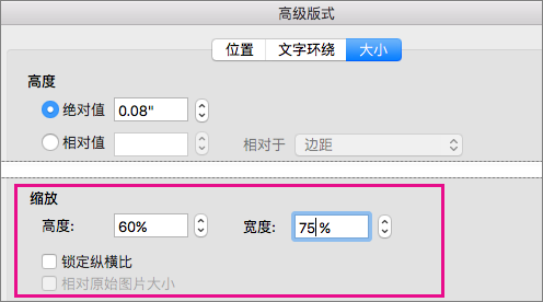 在“大小”选项卡上的“高级版式”框中，突出显示“缩放比例”选项。