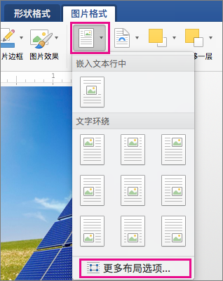 在“图片格式”选项上，突出显示格式“位置”和“其他布局选项”。