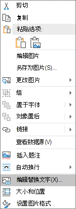 Outlook for Windows 中图像上下文菜单的替换文字