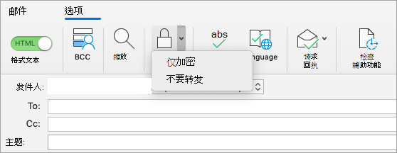 在电子邮件中显示“加密”按钮