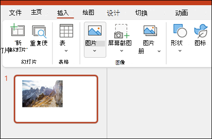 在 PowerPoint 中插入图像