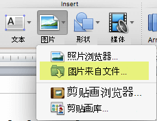 在功能区的“开始”选项卡上的“插入”下，单击“来自文件的图片 > 图片”。
