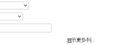 如果需要向筛选器定义添加另一个条目，请选择“显示更多列”。