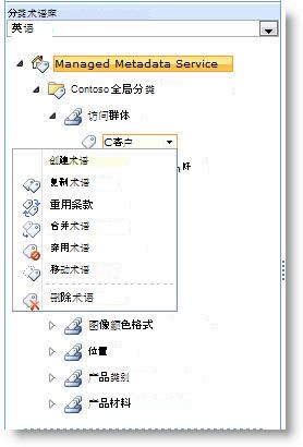 使用菜单来管理术语集中的术语。