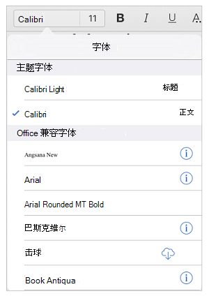 字体选项