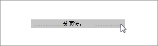 Word Web App 中已选中的分页符的图像