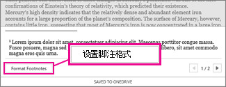 Word Online 的脚注编辑区域中的“设置脚注格式”按钮
