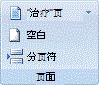 Word 功能区图像
