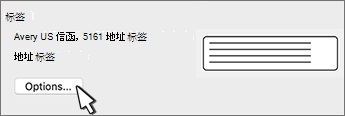 “标签选项”按钮