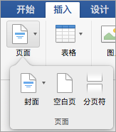“页面”菜单上的选项