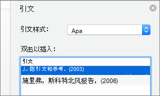 包含引文列表的“引文”窗格。