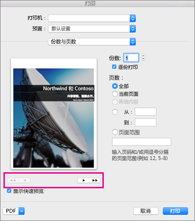 “打印”对话框