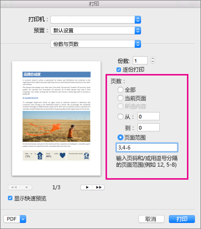 突出显示“页面”部分的“打印”对话框