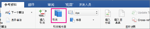 在“引用”选项卡上，引文将会突出显示。