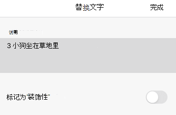 Excel for iOS 中的“替换文字”对话框。