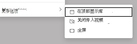 视图选项的屏幕截图。