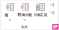 在“分级显示”组中，单击对话框启动器