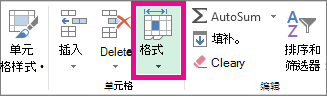 在“开始”选项卡上，单击“格式”