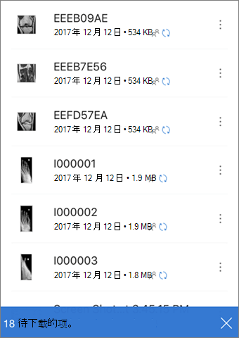 指示待下载的文件的 UI 文本