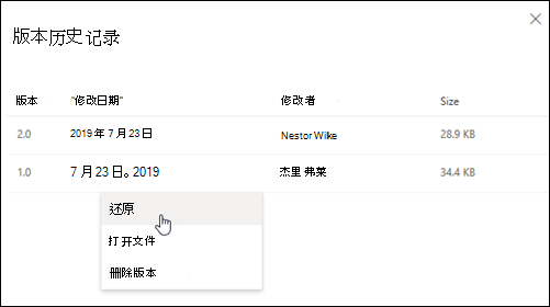 “版本历史记录”窗格