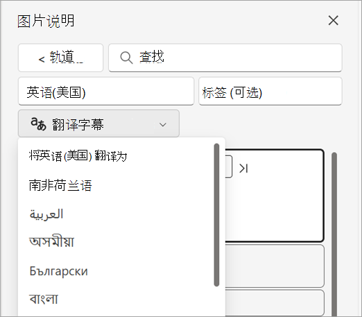 “字幕”窗格中的“翻译字幕”下拉列表。