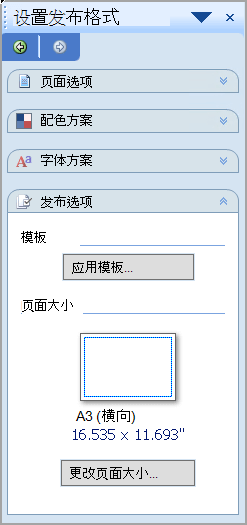 设置发布格式