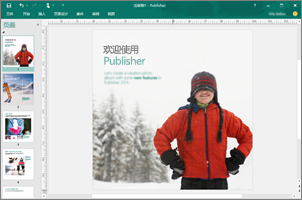 利用 Publisher 创建专业的新闻稿、宣传册和其他出版物