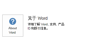 Word MSI 的屏幕截图