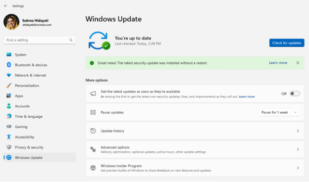 “Windows 更新设置”页显示有关最新热补丁更新的绿色横幅消息。