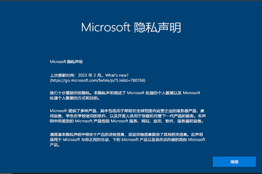 Windows 10 Privacy