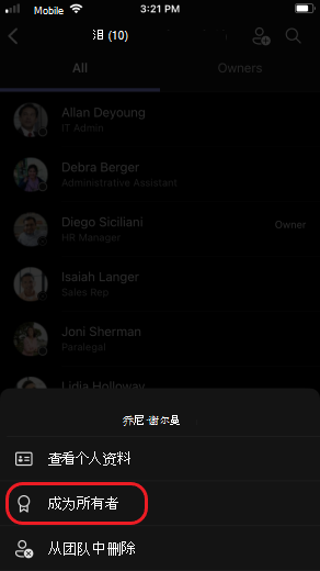 iOS 使团队所有者