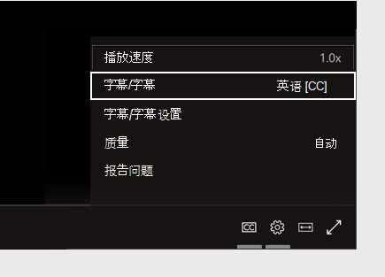 “字幕设置”菜单