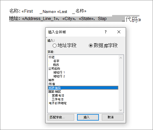 “插入合并字段”菜单