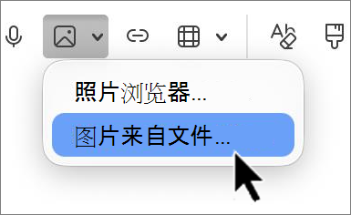 'outlook-mac-insert-picture-screenshot