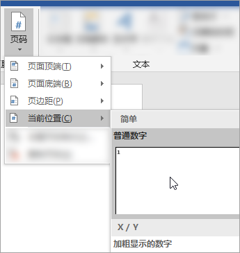 显示文档中当前位置选择“纯格式”页码的屏幕截图