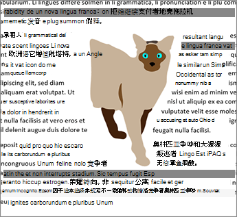 两侧环绕