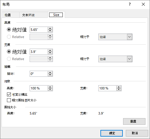 布局选项“大小”选项卡