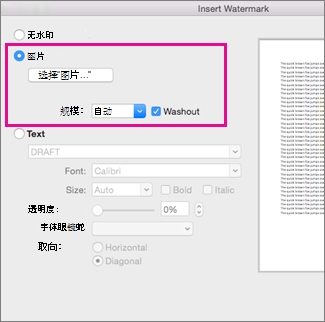 “插入水印”对话框，其中包含“图片”选项周围的标注