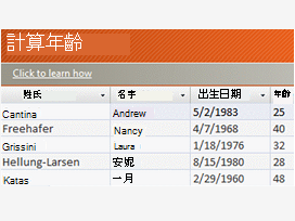 Access 範本標誌