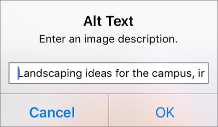 iOS 版 Outlook 的影像替代文字功能表
